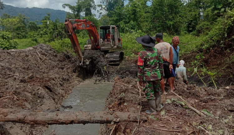Dinas Pertanian Morowali Utara Dorong Perbaikan Sarana Infrastruktur Lahan Rawa di Desa Togo Mulya