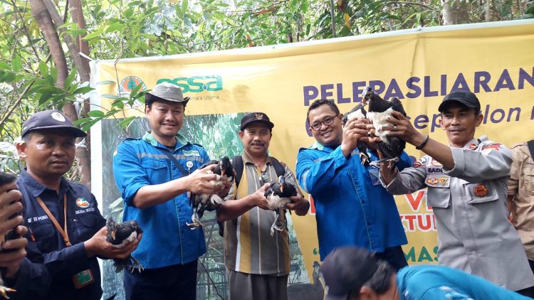 PAU Kembali Lepas 25 Ekor Anakan Burung Maleo