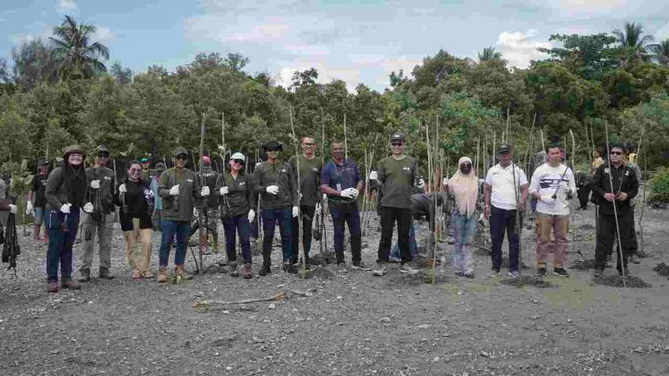 PT PAU Gandeng KPA Maleo Tanam Mangrove di Kelurahan Lamo