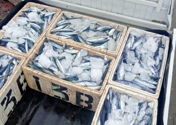 Rompon CSR Tingkatkan Hasil Tangkapan, Nelayan Tangkian Panen Setengah Ton Ikan